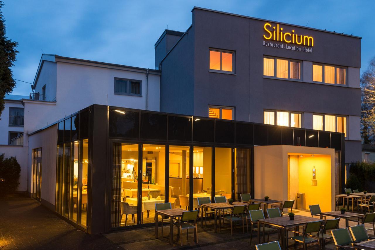 Hotel Silicium Höhr-Grenzhausen Eksteriør bilde